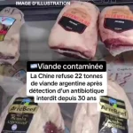 🇫🇷 France – 🇪🇺 Union européenne : La France applique les critères de production les plus rigoureux au monde à ses éleveurs mais l’Union européenne ne les impose pas aux viandes ukrainiennes ou du Mercosur ! La population française se nourrit ainsi de produits aux standards inférieurs, trahissant ses agriculteurs locaux. Scandale du double standard européen !