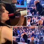 🇺🇸 États-Unis : Des journalistes s’emparent et vident des bouteilles d’alcool comme à une soirée étudiante après la neutralisation du tireur lors du dîner à D.C., pendant qu’ils calomnient Kash et les membres conservateurs de l’administration Trump.