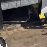 🇫🇷 France : Armé d&rsquo;une épée, un individu charge des policiers français : neutralisé au taser et au sol sans usage de l&rsquo;arme à feu malgré la menace mortelle. La peur des sanctions post-Nahel paralyse encore les forces de l&rsquo;ordre.