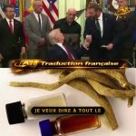 🇺🇸 États-Unis : Trump signe un décret accélérant la revue de l’ibogaïne contre les addictions, un composé bloqué par la FDA depuis 60 ans alors que la crise des opioïdes fait des dizaines de milliers de morts chaque année. La bureaucratie recule enfin !