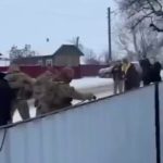 🇺🇦 Ukraine – 🏴‍☠️ OTAN : L’Ukraine mobilise de force les hommes de plus de 52 ans arrachés dans la rue, tandis que les fils à peine majeurs partent en première ligne. Sacrifice d’un peuple entier pour prolonger une guerre sans issue.