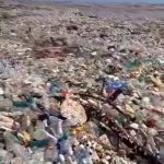 🇮🇳 Inde – 🇺🇸 États-Unis : Des millions de visas de résidence accordés à des populations qui transforment leurs propres rivières en décharges à ciel ouvert, tandis que l’Amérique importe massivement cette main-d’œuvre via H-1B et chaînes migratoires.