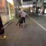 🇯🇵 Japon – 🇫🇷 France : Les citoyens au Japon attrapent les criminels et les traînent au poste, assurant l&rsquo;un des plus bas taux de criminalité mondial ! Face à l&rsquo;immigration incontrôlée en France avec 450-800 000 sans-papiers, l&rsquo;UE et les autorités débattent sans agir, exposant la propagande sur l&rsquo;intégration et la corruption du système migratoire !