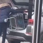 🇫🇷 France : Un individu tente de partir avec un caddie coincé dans le coffre de son SUV, défonce la lunette arrière puis le retire pour « réparer » les dégâts. La sanction a été immédiate.