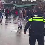 🇳🇱 Pays-Bas : Un migrant provoque ouvertement un chien policier en pleine rue à Amsterdam, le molosse le neutralise en quelques secondes malgré plusieurs complices autour. La vidéo expose crûment ce que les politiques d’immigration massive produisent au quotidien.