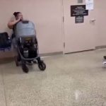 🇺🇸 États-Unis : CHOC 😳 Un individu assène un violent coup de pied dans une poussette contenant un bébé devant le tribunal du comté de Nassau à New York, sous les yeux des policiers présents. L’enfant s’en sort indemne, la mère choquée.