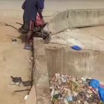 🇪🇺 Union européenne : En Afrique on balance les ordures par camions entiers dans les rues pendant que les technocrates de Bruxelles imposent aux Européens des voitures électriques à prix d’or et des normes vertes punitives pour sauver la planète.