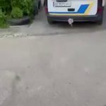 🇺🇦 Ukraine : Un jeune Ukrainien manque de peu d’échapper aux rafles des recruteurs mobiles malgré ses acrobaties : capturé, il sera envoyé au front pour mourir au service de l’OTAN et de l’UE qui arment sans compter cette guerre d’usure.