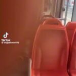 🇫🇷 France : Au Mans, une femme refuse de quitter le bus en hurlant « Wallah je sors pas, mon mec est en taule, ma fille est placée, tu vas faire quoi ? »