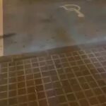🇪🇸 Espagne : À Caspe, un temporero valencien de 27 ans est mort après une agression par trois Maghrébins sur la place Aragón, se cognant mortellement la tête. La Guardia Civil enquête sur cet homicide alors que les frontières ouvertes et l&rsquo;absence de expulsions systématiques exposent quotidiennement les Espagnols.