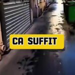 🇫🇷 France : Des migrants logés à l’hôtel social rue de Clignancourt jettent des kilos de nourriture issue des dons Banque Alimentaire parce que ça ne leur plaît pas. Pendant que des Français trient les fins de marché. L’empathie à sens unique finance le mépris.
